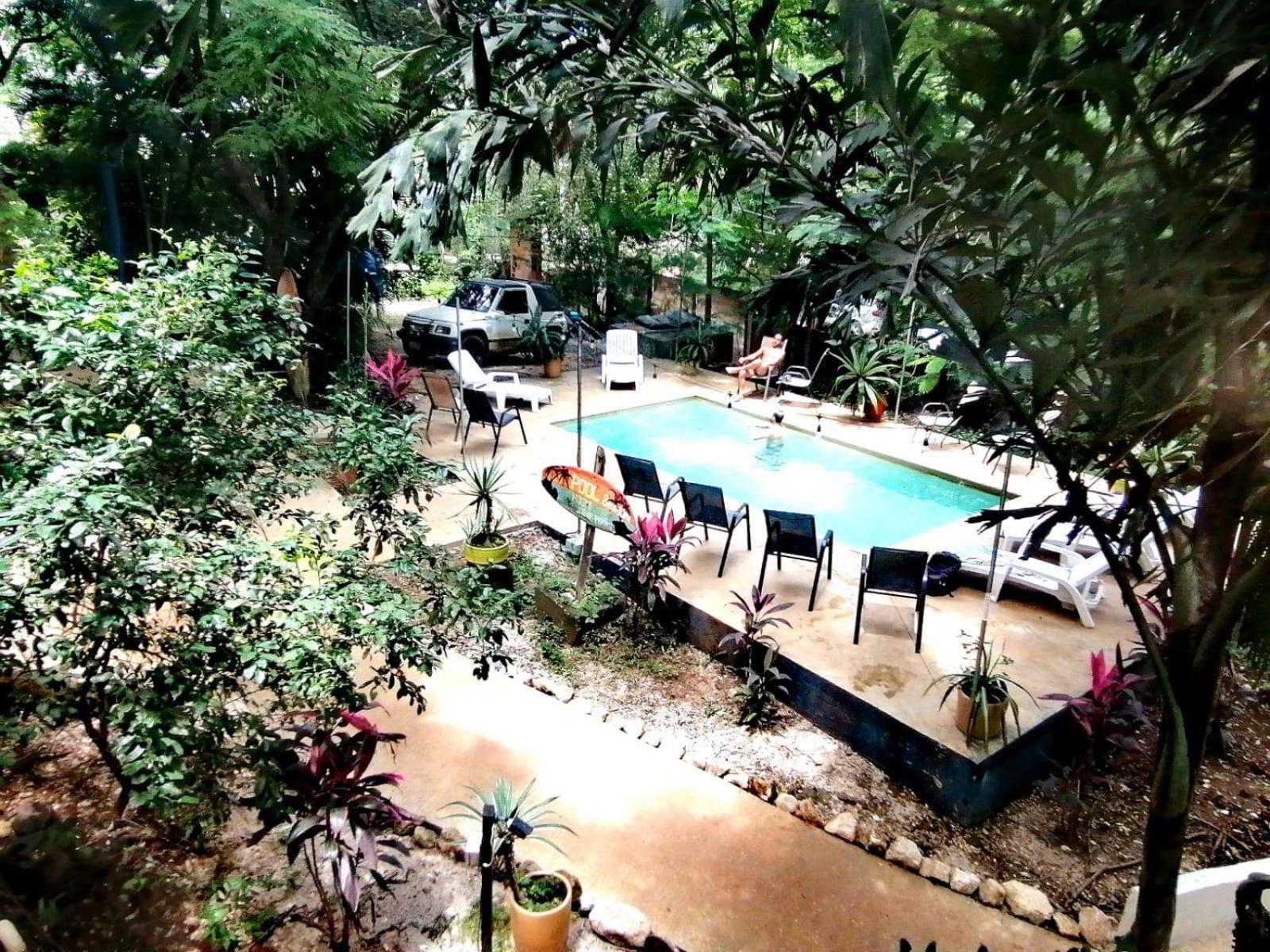 Casa Pura Vida Surf Hostel - Tamarindo Costa Rica Luaran gambar