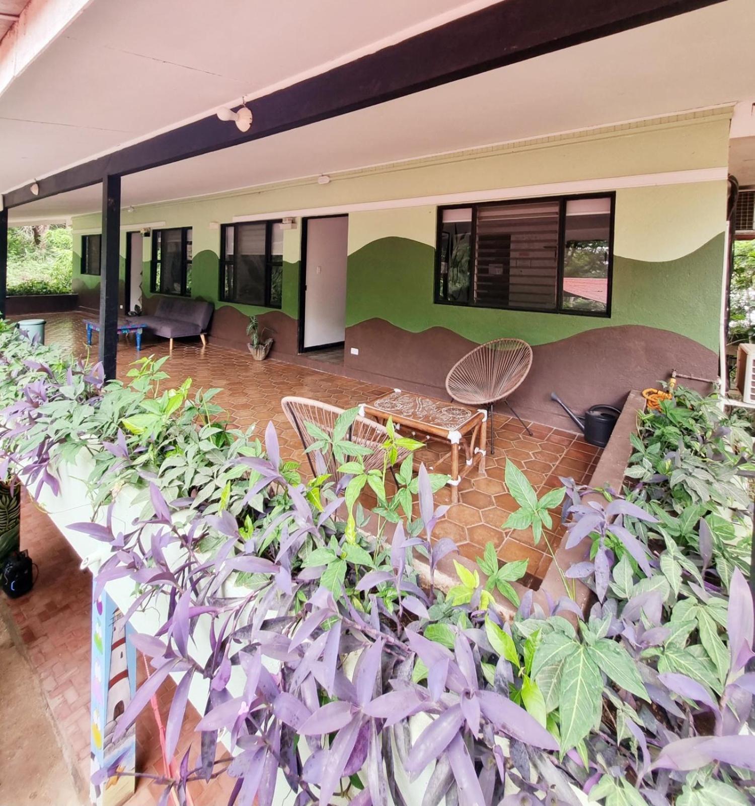 Casa Pura Vida Surf Hostel - Tamarindo Costa Rica Luaran gambar
